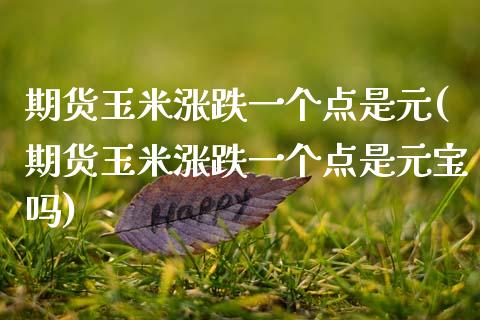 期货玉米涨跌一个点是元(期货玉米涨跌一个点是元宝吗)_https://www.boyangwujin.com_期货直播间_第1张