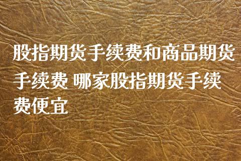 股指期货手续费和商品期货手续费 哪家股指期货手续费便宜_https://www.boyangwujin.com_期货直播间_第1张