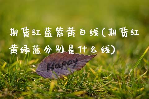 期货红蓝紫黄白线(期货红黄绿蓝分别是什么线)_https://www.boyangwujin.com_期货直播间_第1张