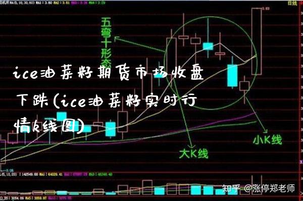 ice油菜籽期货市场收盘下跌(ice油菜籽实时行情k线图)