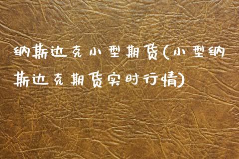 纳斯达克小型期货(小型纳斯达克期货实时行情)