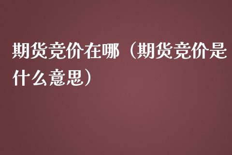 期货竞价在哪（期货竞价是什么意思）