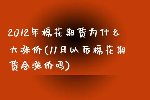 2012年棉花期货为什么大涨价(11月以后棉花期货会涨价吗)_https://www.boyangwujin.com_期货直播间_第1张