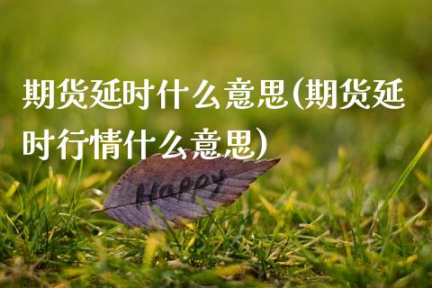 期货延时什么意思(期货延时行情什么意思)_https://www.boyangwujin.com_期货直播间_第1张