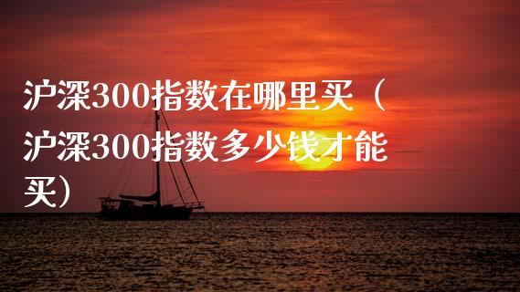 沪深300指数在哪里买（沪深300指数多少钱才能买）
