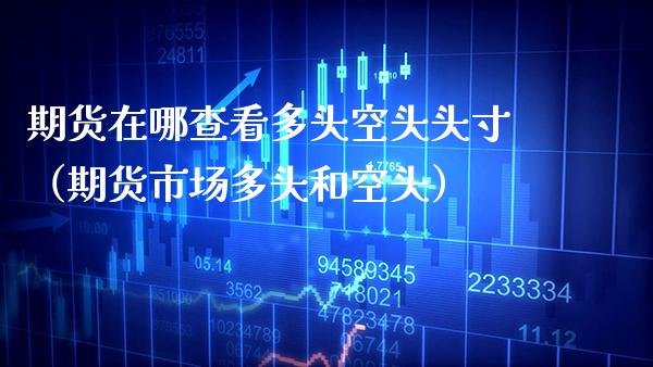 期货在哪查看多头空头头寸（期货市场多头和空头）_https://www.boyangwujin.com_期货直播间_第1张
