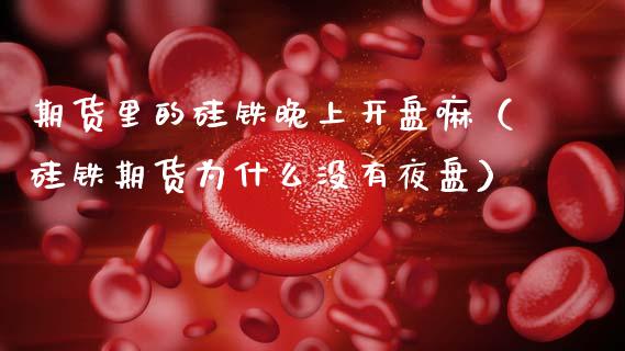 期货里的硅铁晚上开盘嘛（硅铁期货为什么没有夜盘）_https://www.boyangwujin.com_期货直播间_第1张