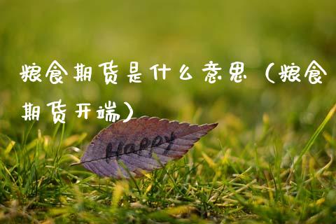 粮食期货是什么意思（粮食期货开端）