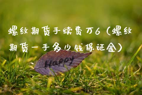 螺纹期货手续费万6（螺纹期货一手多少钱保证金）_https://www.boyangwujin.com_期货直播间_第1张