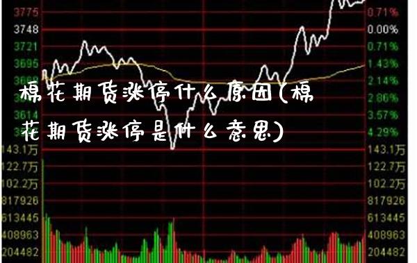 棉花期货涨停什么原因(棉花期货涨停是什么意思)_https://www.boyangwujin.com_期货直播间_第1张