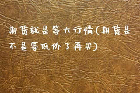 期货就是等大行情(期货是不是等低价了再买)
