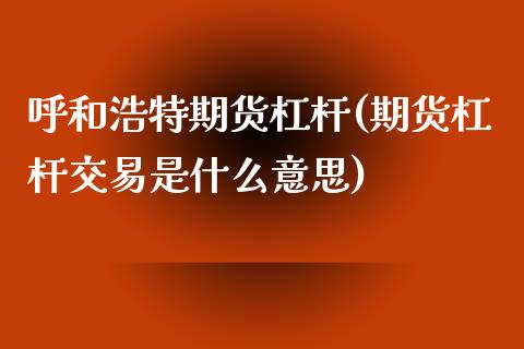 呼和浩特期货杠杆(期货杠杆交易是什么意思)