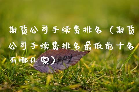 期货公司手续费排名（期货公司手续费排名最低前十名有哪几家）_https://www.boyangwujin.com_期货直播间_第1张