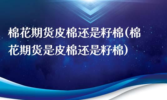 棉花期货皮棉还是籽棉(棉花期货是皮棉还是籽棉)_https://www.boyangwujin.com_原油期货_第1张