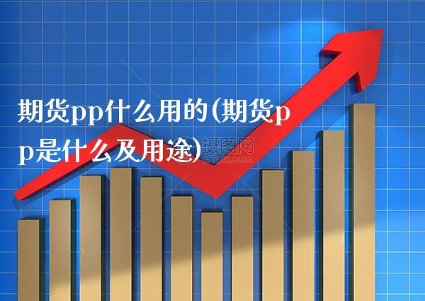 期货pp什么用的(期货pp是什么及用途)