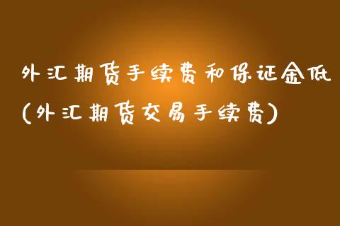 外汇期货手续费和保证金低(外汇期货交易手续费)_https://www.boyangwujin.com_恒指期货_第1张