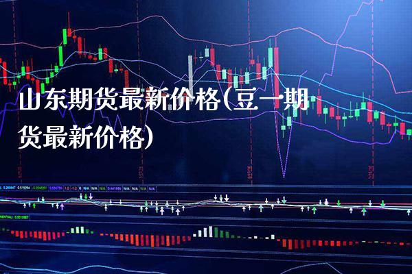 山东期货最新价格(豆一期货最新价格)
