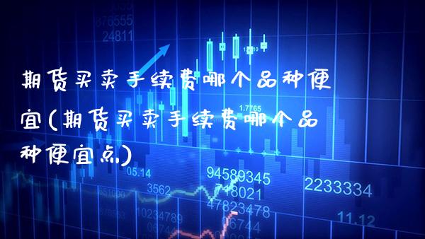期货买卖手续费哪个品种便宜(期货买卖手续费哪个品种便宜点)
