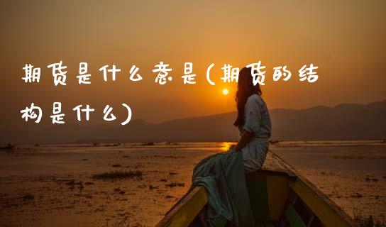 期货是什么意是(期货的结构是什么)_https://www.boyangwujin.com_黄金期货_第1张