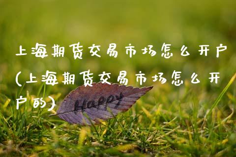 上海期货交易市场怎么开户(上海期货交易市场怎么开户的)