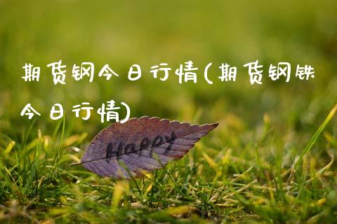 期货钢今日行情(期货钢铁今日行情)