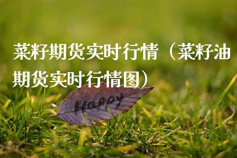 菜籽期货实时行情（菜籽油期货实时行情图）