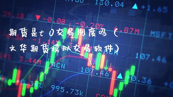 期货是t 0交易制度吗（文华期货模拟交易软件）_https://www.boyangwujin.com_期货直播间_第1张
