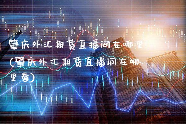 肇庆外汇期货直播间在哪里(肇庆外汇期货直播间在哪里看)