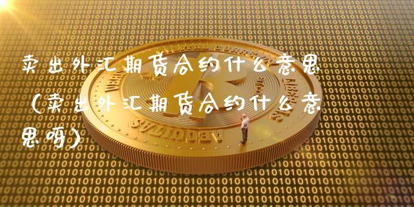 卖出外汇期货合约什么意思（卖出外汇期货合约什么意思呀）