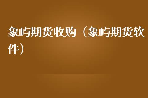 象屿期货收购（象屿期货软件）