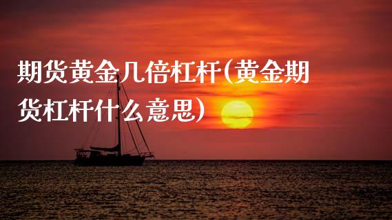 期货黄金几倍杠杆(黄金期货杠杆什么意思)_https://www.boyangwujin.com_恒生指数_第1张