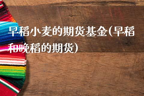 早稻小麦的期货基金(早稻和晚稻的期货)