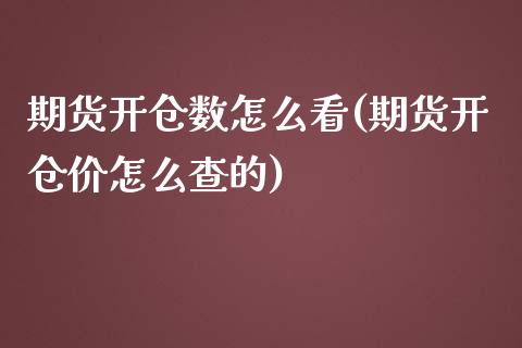 期货开仓数怎么看(期货开仓价怎么查的)_https://www.boyangwujin.com_恒生指数_第1张