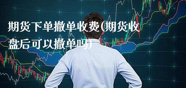 期货下单撤单收费(期货收盘后可以撤单吗)_https://www.boyangwujin.com_原油期货_第1张