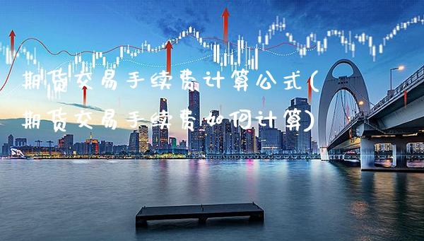 期货交易手续费计算公式(期货交易手续费如何计算)_https://www.boyangwujin.com_恒生指数_第1张