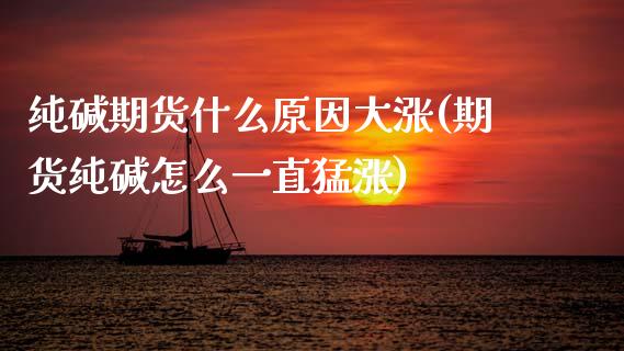 纯碱期货什么原因大涨(期货纯碱怎么一直猛涨)_https://www.boyangwujin.com_原油期货_第1张