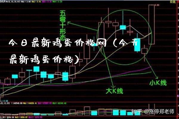 今日最新鸡蛋价格网（今天最新鸡蛋价格）_https://www.boyangwujin.com_期货直播间_第1张