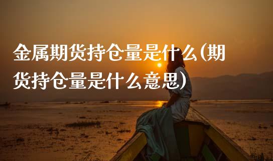 金属期货持仓量是什么(期货持仓量是什么意思)_https://www.boyangwujin.com_期货开户_第1张