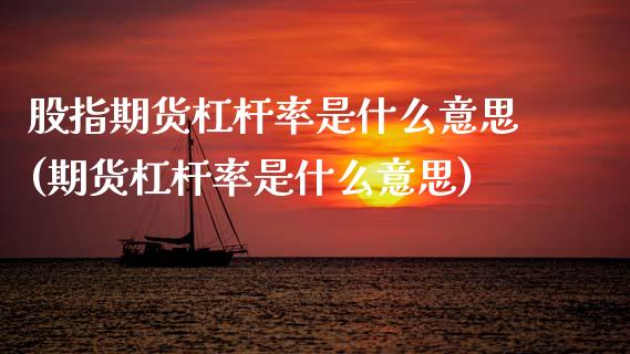 股指期货杠杆率是什么意思(期货杠杆率是什么意思)