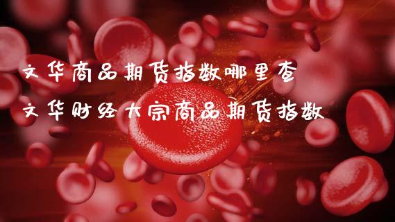 文华商品期货指数哪里查 文华财经大宗商品期货指数_https://www.boyangwujin.com_期货直播间_第1张
