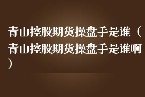 青山控股期货操盘手是谁（青山控股期货操盘手是谁啊）_https://www.boyangwujin.com_纳指期货_第1张