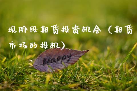 现阶段期货投资机会（期货市场的投机）