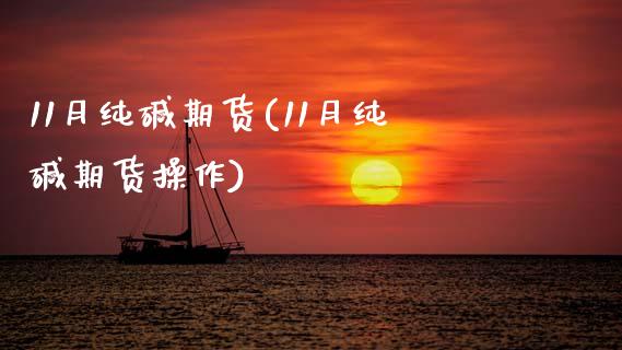 11月纯碱期货(11月纯碱期货操作)_https://www.boyangwujin.com_期货直播间_第1张
