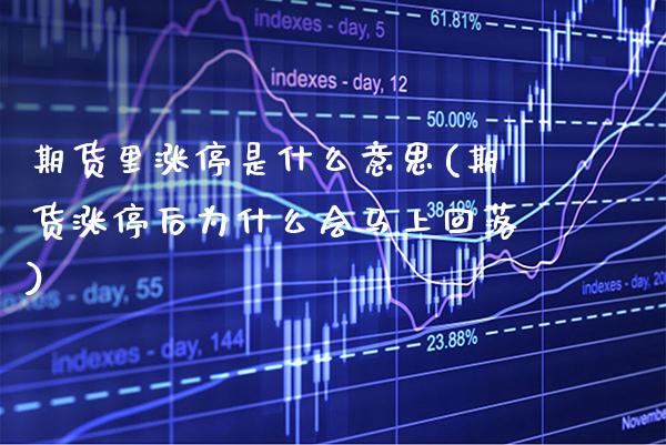 期货里涨停是什么意思(期货涨停后为什么会马上回落)_https://www.boyangwujin.com_恒指期货_第1张