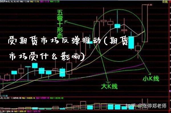 受期货市场反弹推动(期货市场受什么影响)