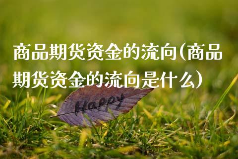 商品期货资金的流向(商品期货资金的流向是什么)_https://www.boyangwujin.com_期货直播间_第1张