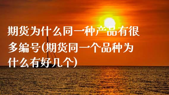 期货为什么同一种产品有很多编号(期货同一个品种为什么有好几个)
