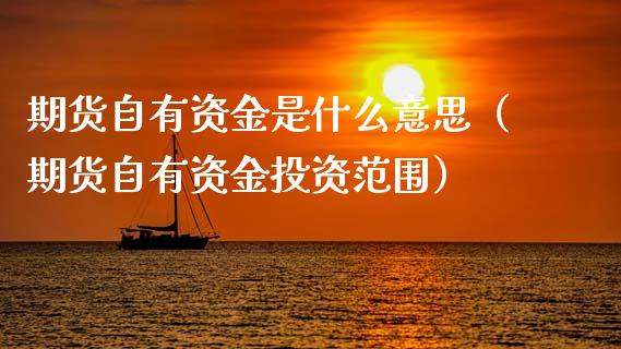 期货自有资金是什么意思（期货自有资金投资范围）_https://www.boyangwujin.com_纳指期货_第1张