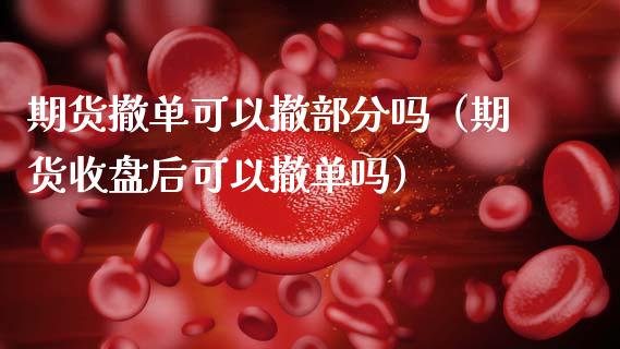 期货撤单可以撤部分吗（期货收盘后可以撤单吗）_https://www.boyangwujin.com_期货直播间_第1张