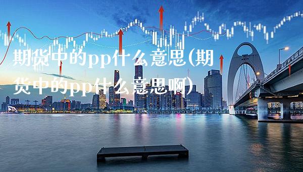 期货中的pp什么意思(期货中的pp什么意思啊)_https://www.boyangwujin.com_期货直播间_第1张